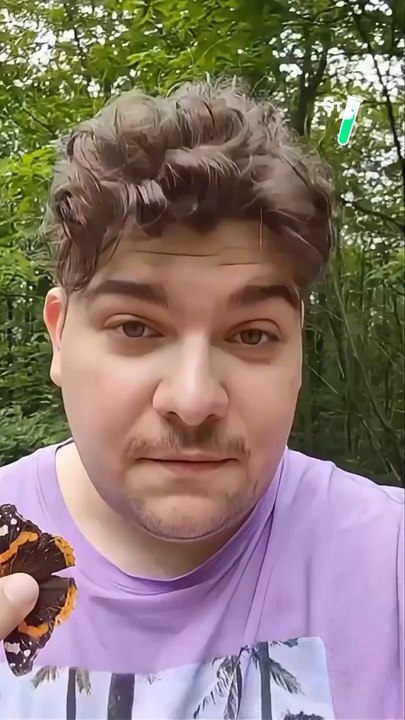 On nous dit toujours que les papillons vivent seulement quelques jours, mais est-ce vrai ?  @seb_insectes #nature #insectes #papillon #wild #sciences