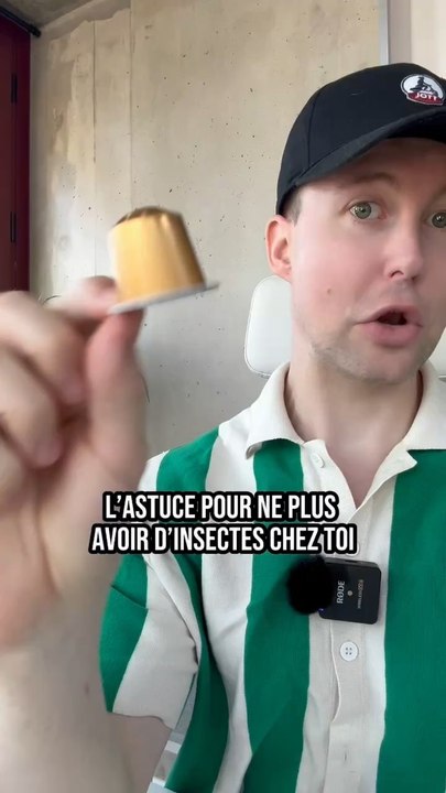 Un répulsif naturel à insectes 