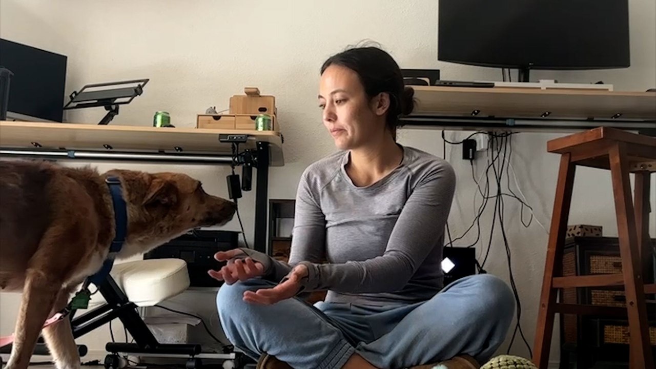 Scared Rescued Dog Was Too Afraid To Come Inside The House Until...