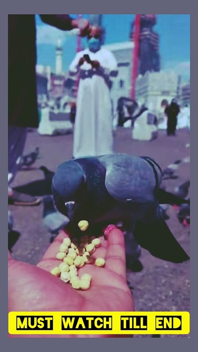 Islamic video