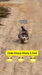 Shadi m zada khana khany waly