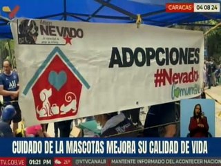 Familias caraqueñas fomentan la adopción, cuidado y respeto de las mascotas