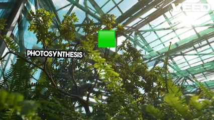 28 _top biology definitions