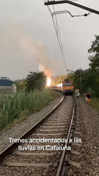 Ecco il mio ultimo video