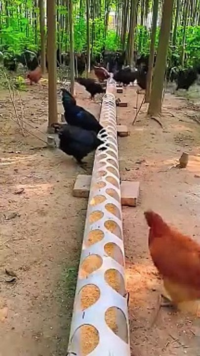 Dasi Jughar 420