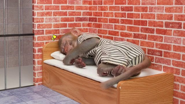 Monkey Baby Bon Bon eat jelly fruit ice cream and naughty with ducklings in the swimming pool