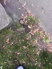 These things are everywhere