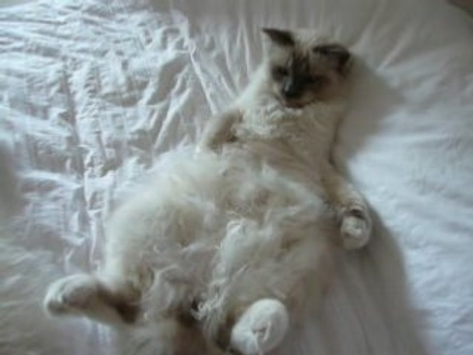 Toujours aussi dure la vie