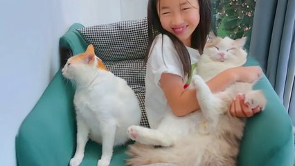 The Ultimate Jealous CATS Videos Funniest Pets Videos 2024