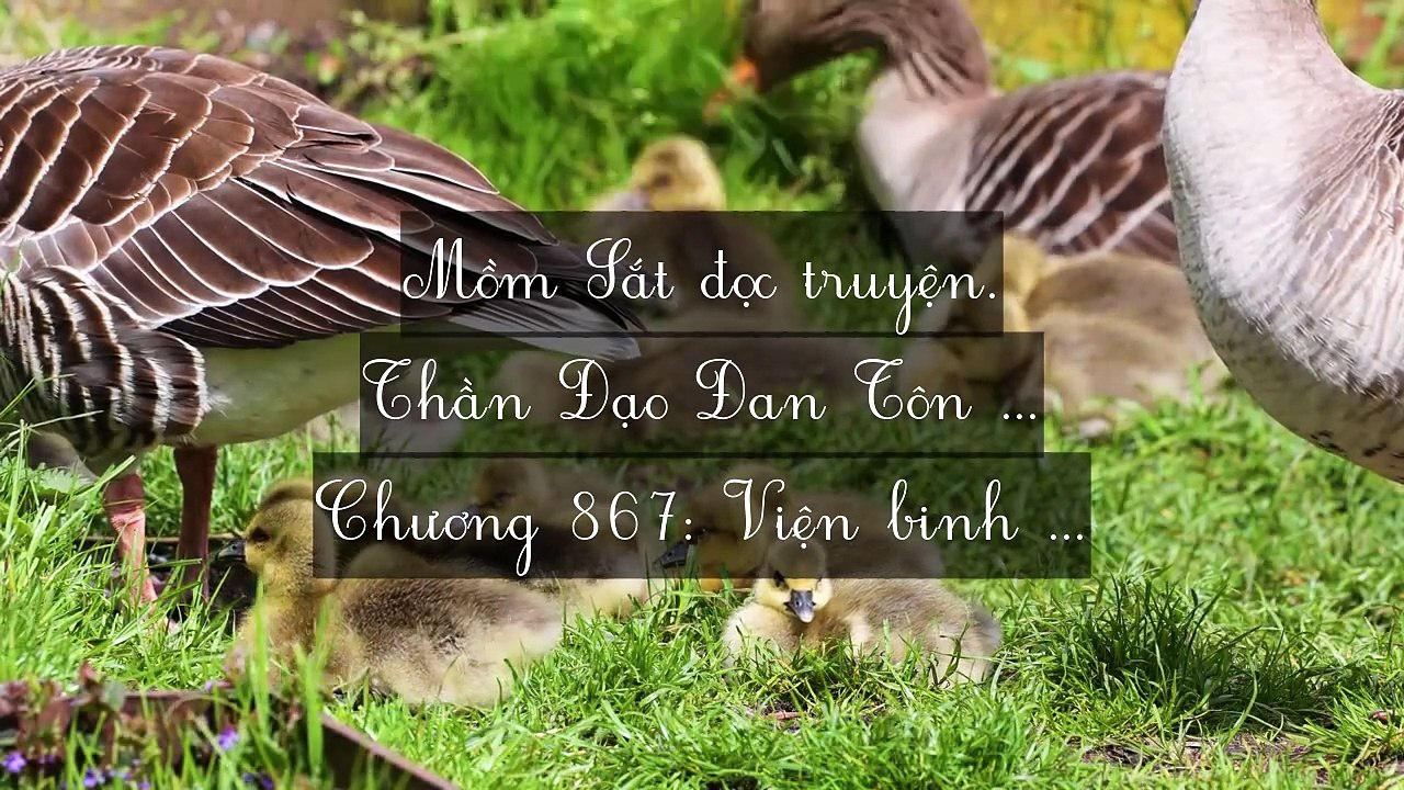 Mới 2024 Chương 865-879: Thần Đạo Đan Tôn