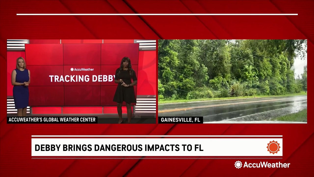 Wind damage and flooding left behind by Hurricane Debby