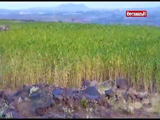 عطاء وبناء الموسم الأول | الحلقة السادسة عشرة | الحراثة المجتمعية