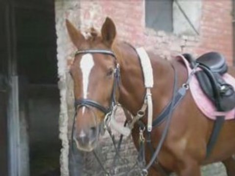 Nos plus belles photos