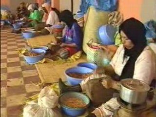 Coopérative d'huile d'Argan à Tamanar, Maroc