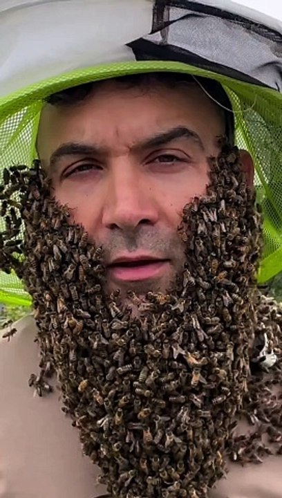 Captain Beekeeper