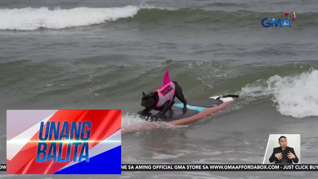 Mga alagang aso, nagpagalingan sa World Surfing Championships | Unang Balita