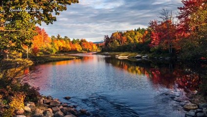 1-Hour Zen Music for Inner Balance, Stress Relief, and Relaxation