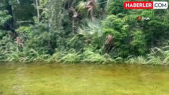 ABD'de etkili olan Debby Kasırgası'nın bilançosu netleşmeye başladı: 4 ölü, 1 yaralı 300 bin hane elektriksiz kaldı, bin 700 uçuş iptal edildi