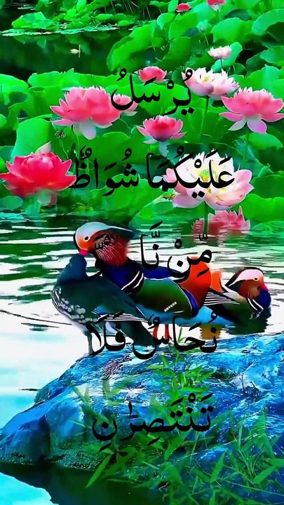 Surah Ar-Rahman سورة الرحمن | This Voice will TOUCH your HEART إن شاء الله