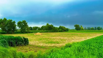 ssstik.io_@danish_mayo1_1722258223720