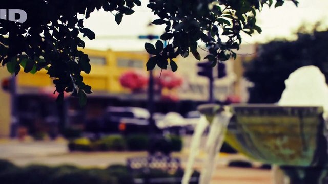 Le fourgon de la mortLe jeu du tchat et de la souris