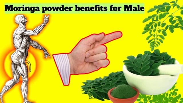 Moringa Powder Benefits for Male