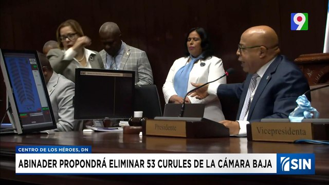 Abinader propuso reducir número de diputados en el Congreso | Emisión Estelar SIN con Alicia Ortega