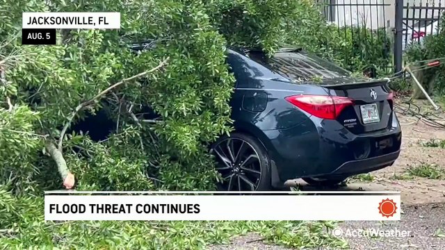 Debby uproots trees and knocks out power in Jacksonville
