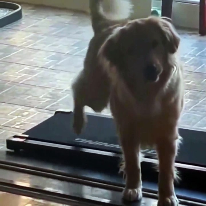 Me doing multitask be like