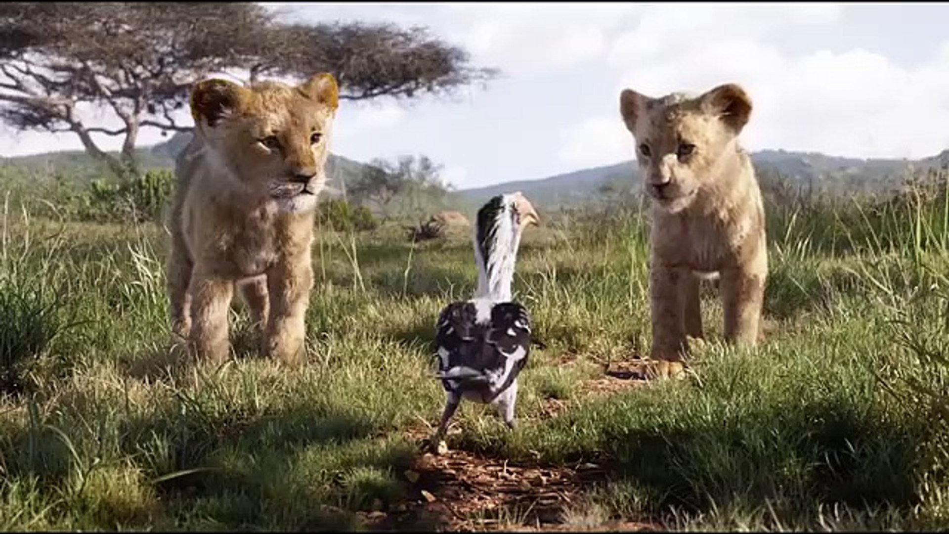 New Animation Movies 2024 Full Movies English - BOLD - Cartoon Disney