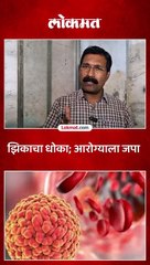 पुणे शहरात वाढला 'झिका'चा धोका