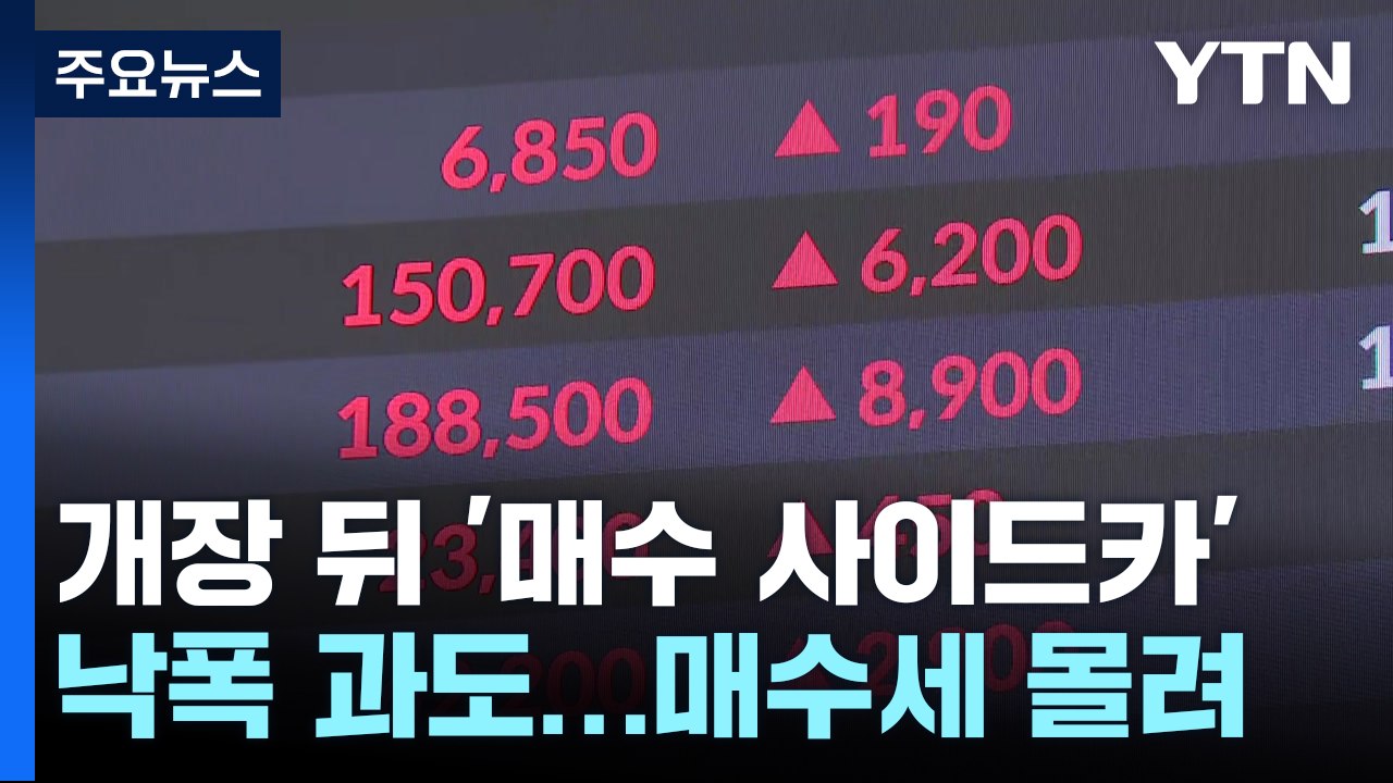 주가 폭등에 '매수' 사이드카...하루 새 급반등 / YTN