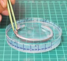 Transforming coin into sophisticated bracelet!