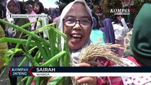 Tradisi Grebeg Suran, Warga Berebut Sayur-mayur dan Palawija