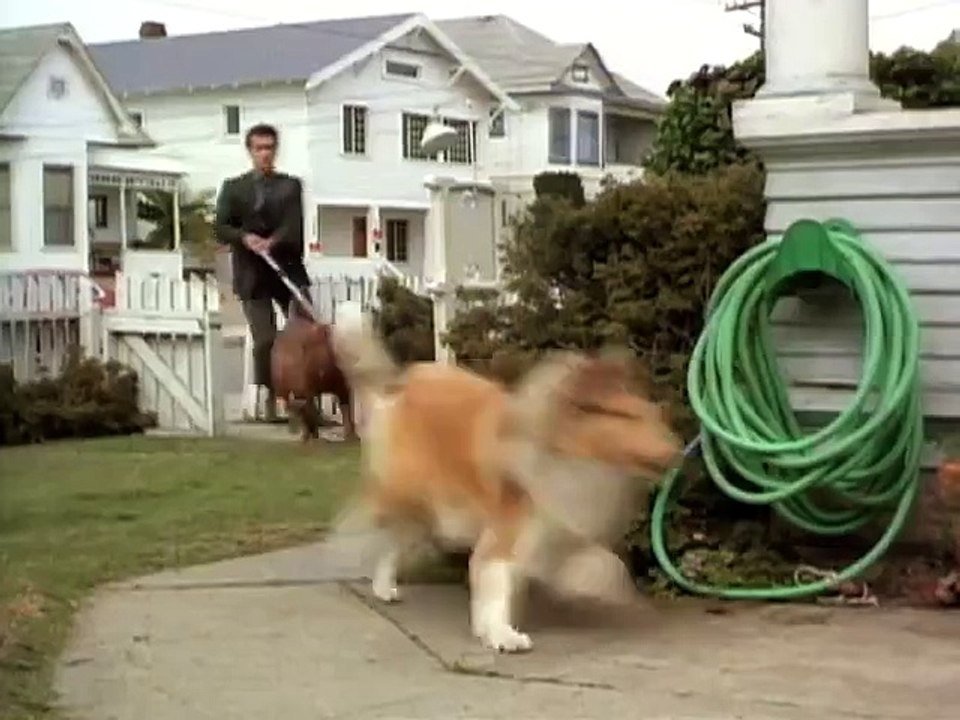 Scott und Huutsch - Trailer zum Hundefilm mit Tom Hanks