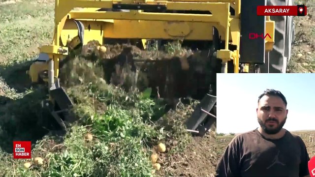 Aksaray'da geçen yıl tarlada 10 TL olan patates bu yıl 5 TL'ye düştü