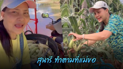 สุนารี ราชสีมา ทำตามที่แม่ขอ ใช้ชีวิตเรียบง่ายที่บ้านโคราช ขายผักผลไม้ ปลูกเอง