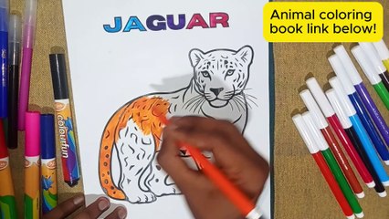 jaguar coloring for kids And toddlers ,How to coloring animal ,essay animal coloring for the kids ,Coloring and Painting for Kids #coloring #animal coloring #kids coloring