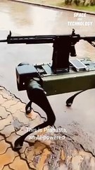 An Indian Startup Has Mounted a Gun on a Robot Dog