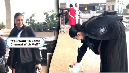 WATCH: Shruti Haasan's Heart-melting Encounter With A Cute Kitten | Mumbai Airport