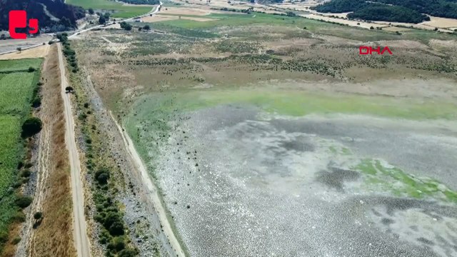 Göçmen kuşlara ev sahipliği yapan gölet kurudu, keçilerin otlağı oldu