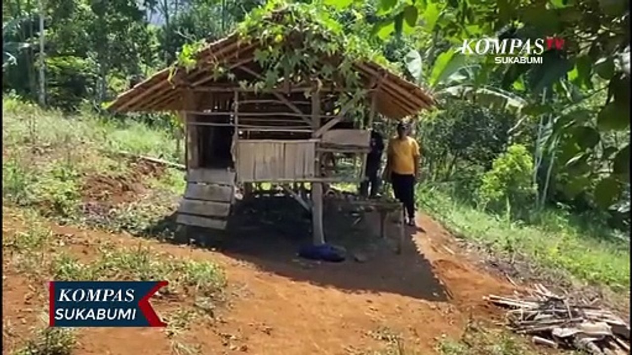 8 Ekor Kambing Milik Warga Mati Di Kandangnya Diduga Diterkam Binatang Buas