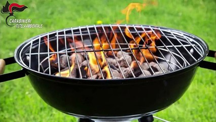 Traffico carbonella alla diossina per barbecue, 9 indagati: bloccata la vendita