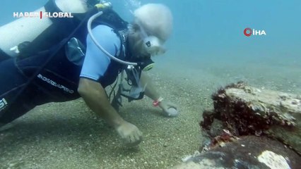 Sualtında parmak ısırtan arkadaşlık: Taşları birbirine vurarak çağırıyor
