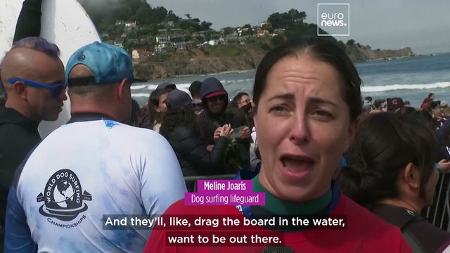 Furry pups make a splash at World Dog Surfing Championships