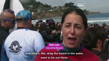 Furry pups make a splash at World Dog Surfing Championships
