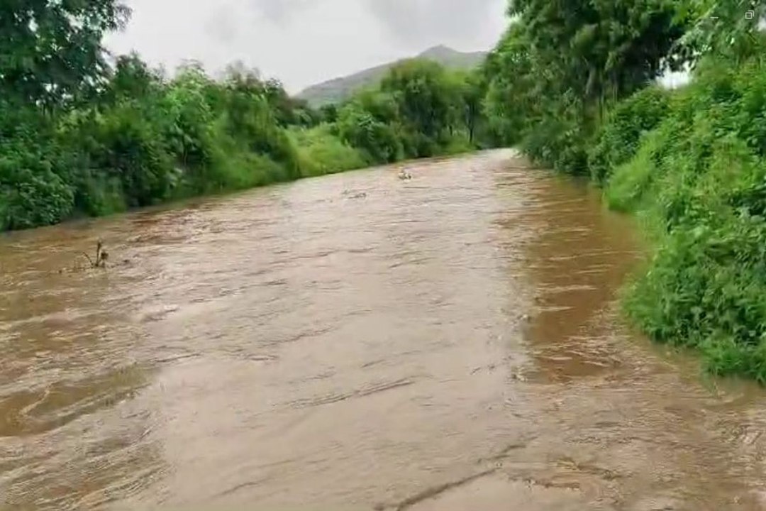 Video: रिमझिम बारिश के बाद, जयसमंद बांध में आने...