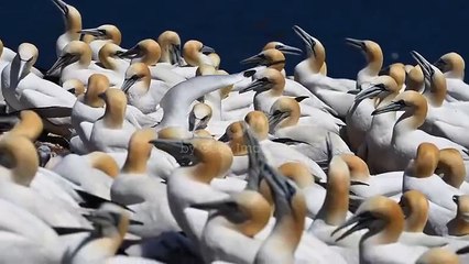 istockphoto-2165230678-640_adpp_is