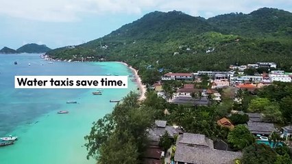 The Environmental Benefits of Water Taxis: A Sustainable Transportation Option