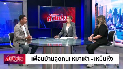 เพื่อนบ้านสุดทน! หมาเห่า - เหม็นหึ่ง | ล้วงข่าว | 09 ส.ค. 67 | PART 2